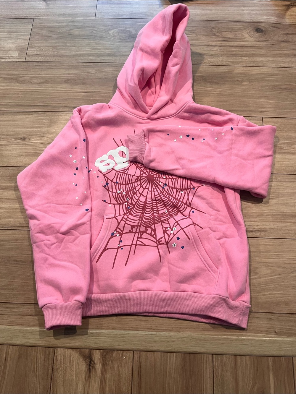 Pink Graphic Hooded Sweatshirt with Web Motif